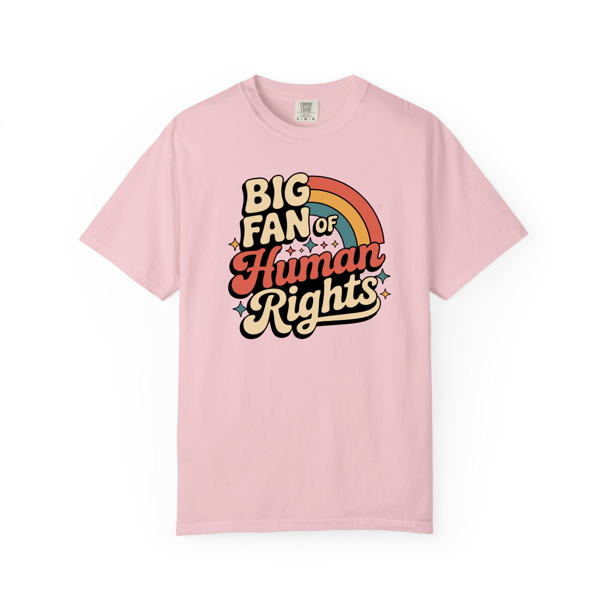Big Fan Of Human Rights Shirt Equality Tee Social Justice Tshirt Political Protest