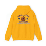 Unisex Halloween University Hoodie, Halloween small Town Est 1998 Hoodie