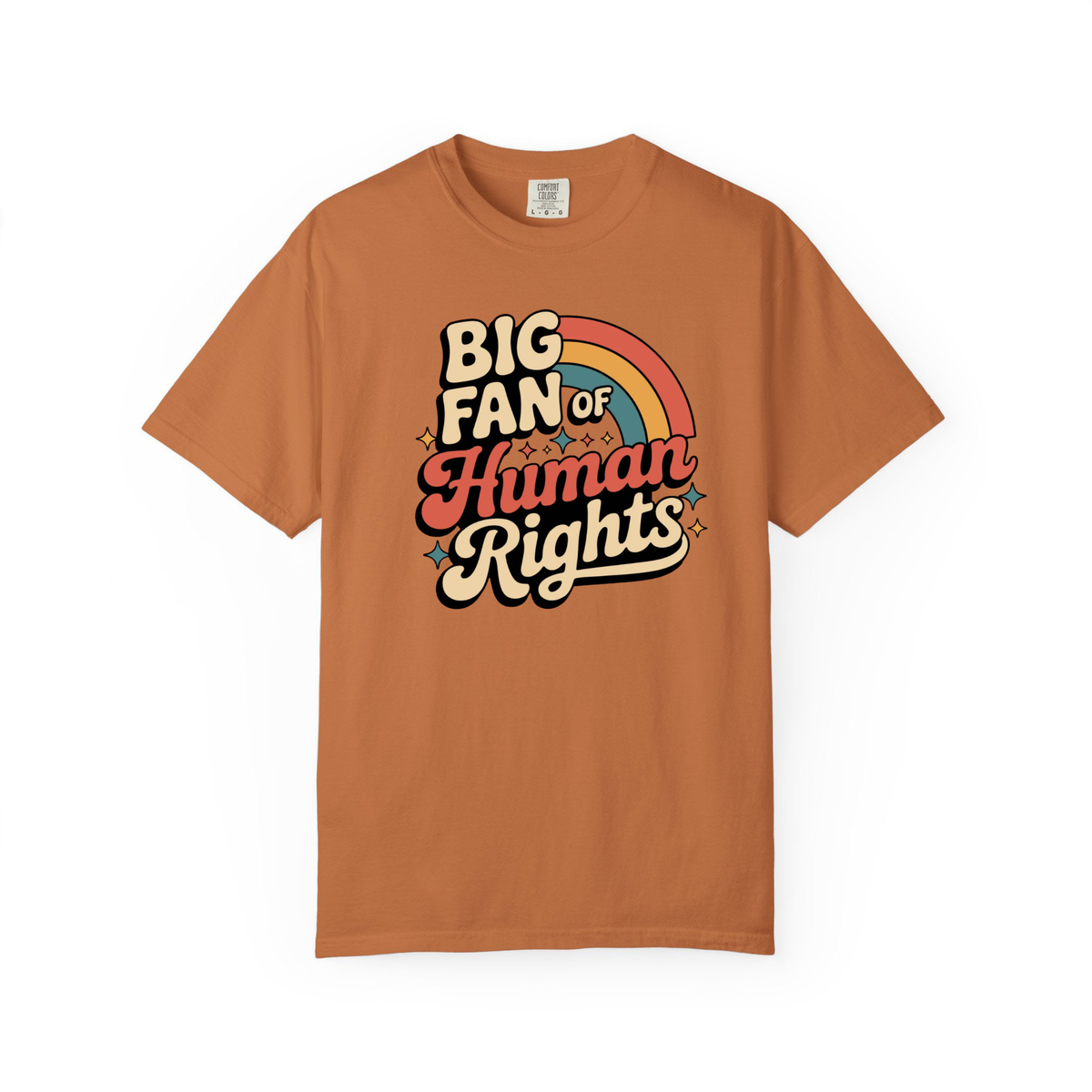Big Fan Of Human Rights Shirt Equality Tee Social Justice Tshirt Political Protest