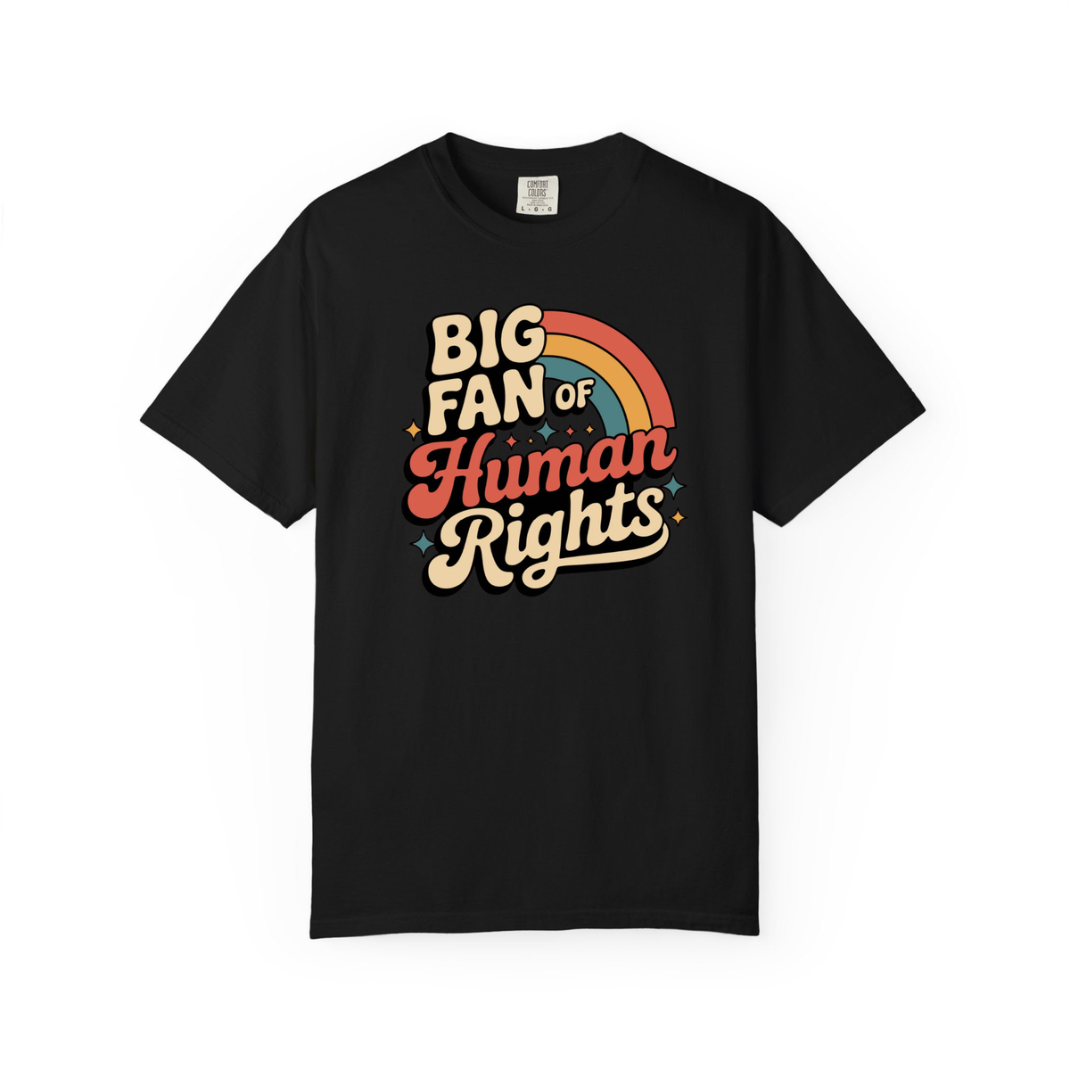 Big Fan Of Human Rights Shirt Equality Tee Social Justice Tshirt Political Protest
