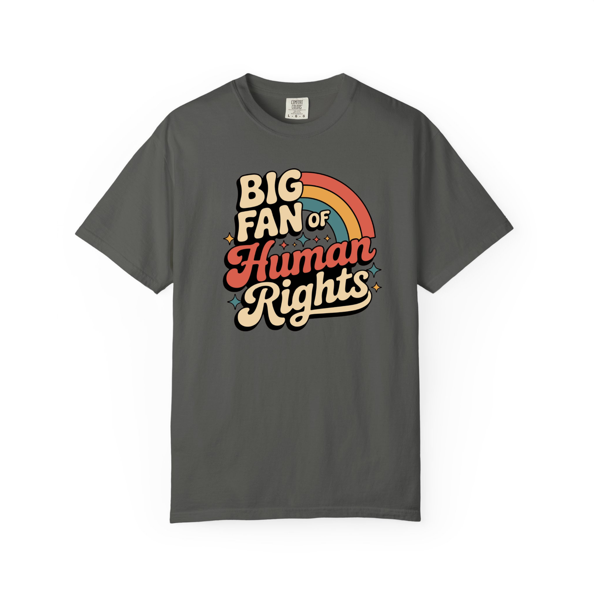 Big Fan Of Human Rights Shirt Equality Tee Social Justice Tshirt Political Protest