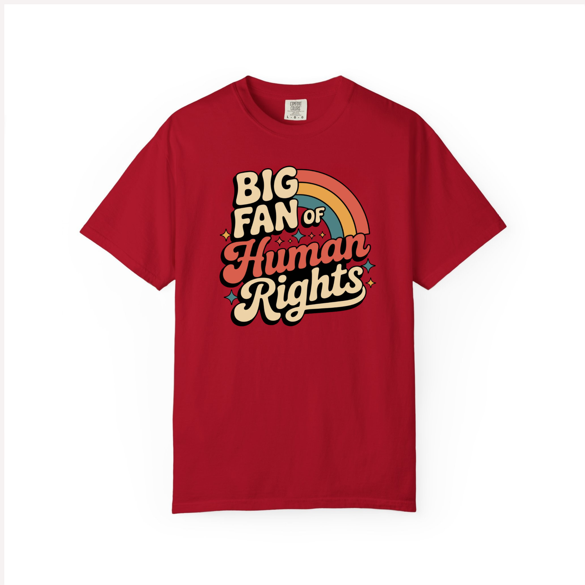 Big Fan Of Human Rights Shirt Equality Tee Social Justice Tshirt Political Protest