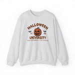 Unisex Halloween University sweashirt, Halloween small Town Est 1998 sweashirt