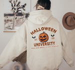 Unisex Halloween University Hoodie, Halloween small Town Est 1998 Hoodie